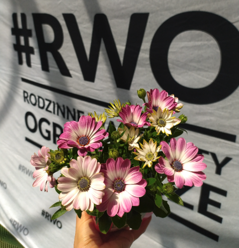 Relacja z #RWO 2022 OBI Warszawa