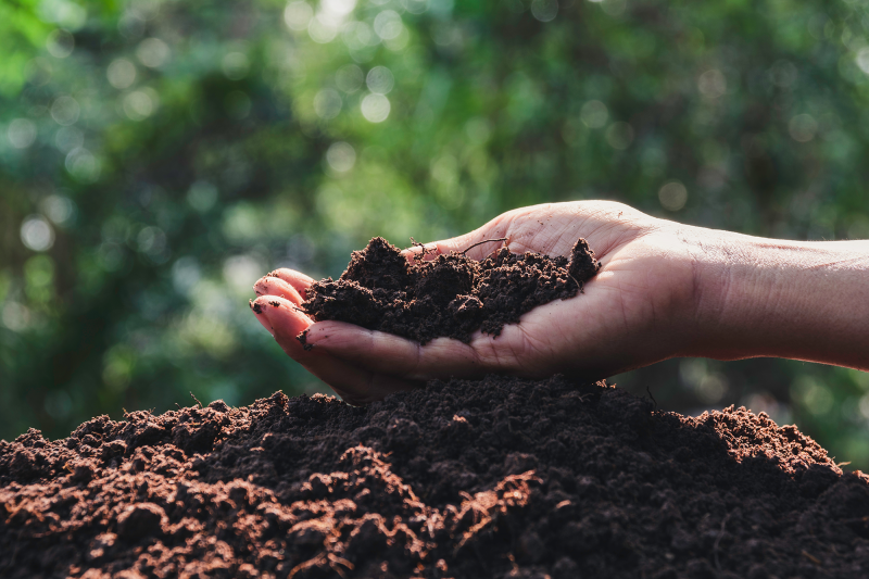ECOcompost 