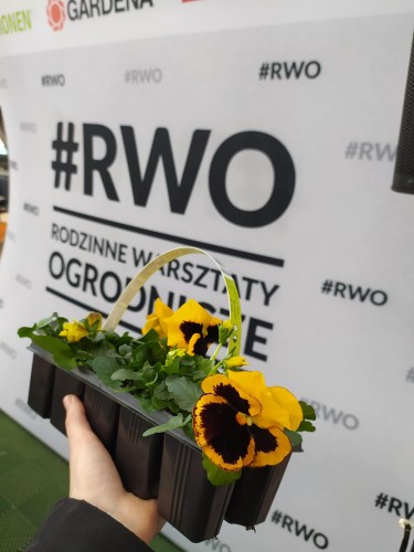 #RWO 2023 - OBI Poznań