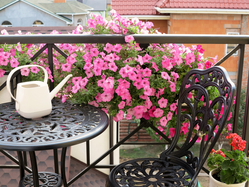 This summer, let's reach for the substrate KRONEN® Balcony soil