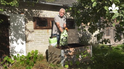 Vegetables for autumn growing in raised beds