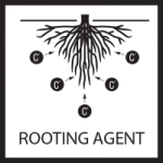 A root stimulator accelerates root development and facilitates nutrient uptake